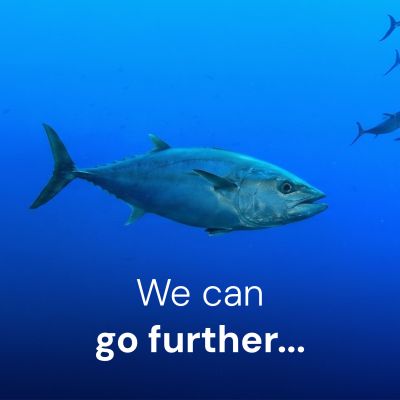 SST Newsletter Campaign